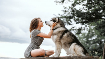 Smiling woman on floral with her Siberian Husky dog.