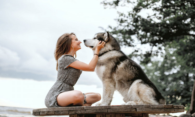 Smiling woman on floral with her Siberian Husky dog.