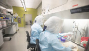 Scientists work in VIDO-InterVac's (Vaccine and Infectious Disease Organization-International Vaccine Centre) containment level 3 laboratory