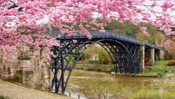 Cherry blossom tree beside black bridge.
