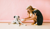 White and black dalmatian dog sitting with a woman. 