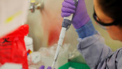 Technicians separate specimens from coronavirus disease (COVID-19) tests to be processed for a positive or negative result at the UW Medicine Virology lab in Seattle