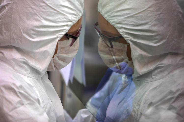 An expert from bio organic department of Polish Science Academy checks blood samples for coronavirus disease (COVID-19) in a laboratory in Poznan