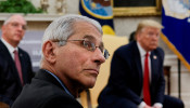 National Institute of Allergy and Infectious Diseases Director Dr. Anthony Fauci 