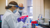 Scientists work in a lab testing COVID-19 samples at New York City's health department