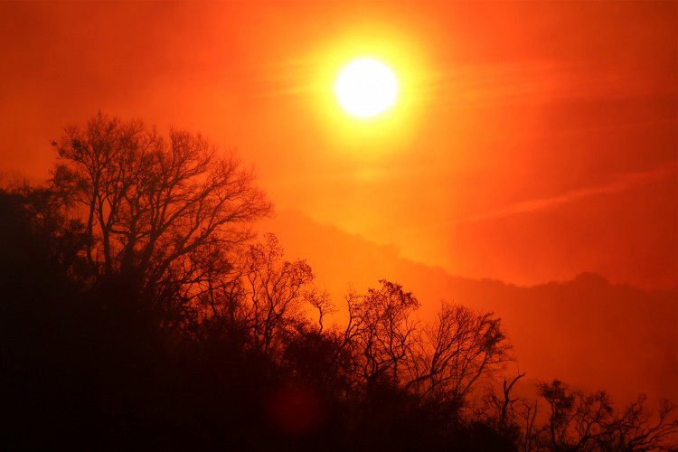 The sun rises over a smoldering landscape that was burned by a wildfire dubbed the Cave Fire, burning in the hills of Santa Barbara, California