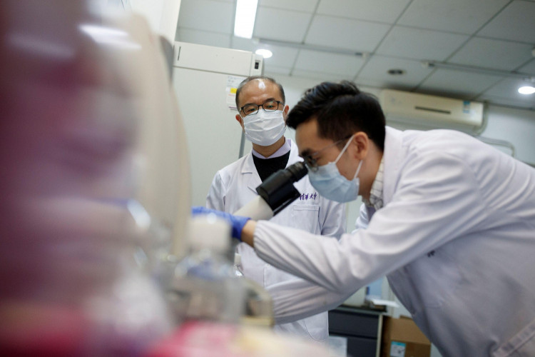 Chinese Medical Firms