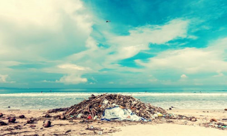 Photo of trash on shore.