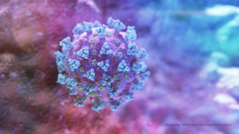 FILE PHOTO: A computer image created by Nexu Science Communication together with Trinity College in Dublin