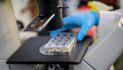 FILE PHOTO: A scientist holds cells that produce antibodies