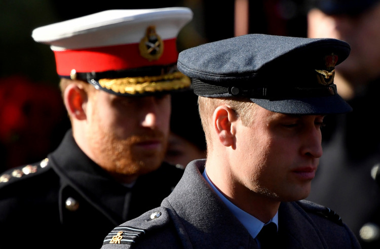 Prince William and Harry 