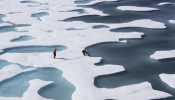 The crew of the U.S. Coast Guard Cutter Healy, in the midst of their ICESCAPE mission, retrieves supplies dropped by parachute in the Arctic Ocean