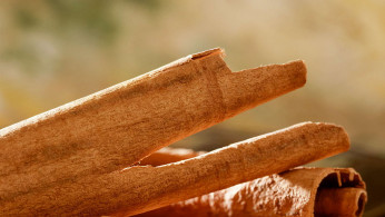Cinnamon spice