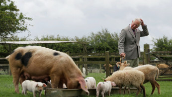 Prince Charles