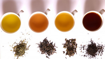 Teas of different levels of oxidation (L to R): green, yellow, oolong, and black