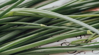 Lemongrass