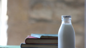 Milk