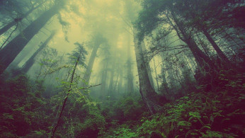 FOR MOTHER EARTH