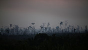 A tract of the Amazon jungle burns