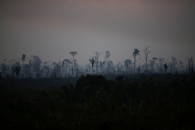 A tract of the Amazon jungle burns