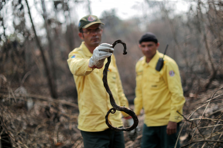 A Brazilian Institute for the Environment and Renewable Natural Resources (IBAMA) fire brigade member holds a dead snake 