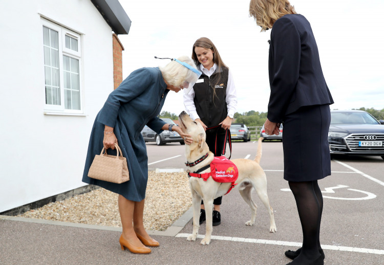 Camilla, Duchess of Cornwall