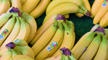 bananas 