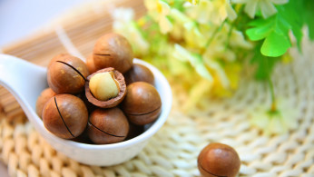 macadamia nuts