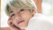 BTS V