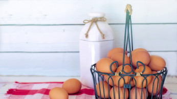 brown eggs