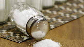 salt shaker