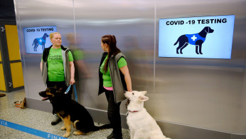 Covid-19