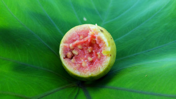 guava