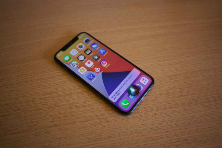 Siri view on iOS 14