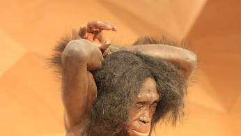 ANCIENT DNA