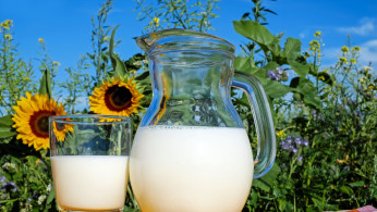 milk