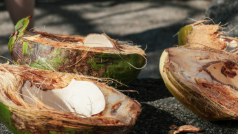 Coconut water