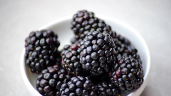 blackberries