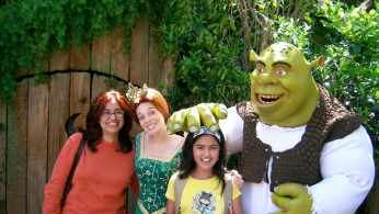 'Shrek 5'