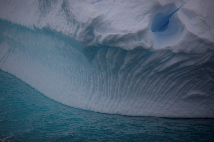 Iceberg