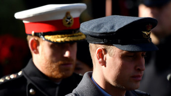 Prince William and Harry