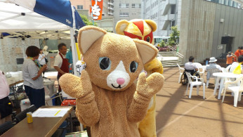 'Kuma Kuma Kuma Bear' Season 2