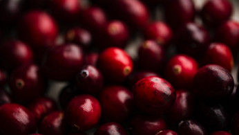 cranberries