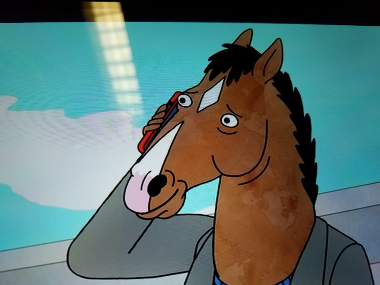 'BoJack Horseman' Season 7 