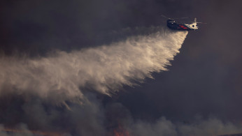 Wildfire