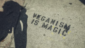 veganism is magic
