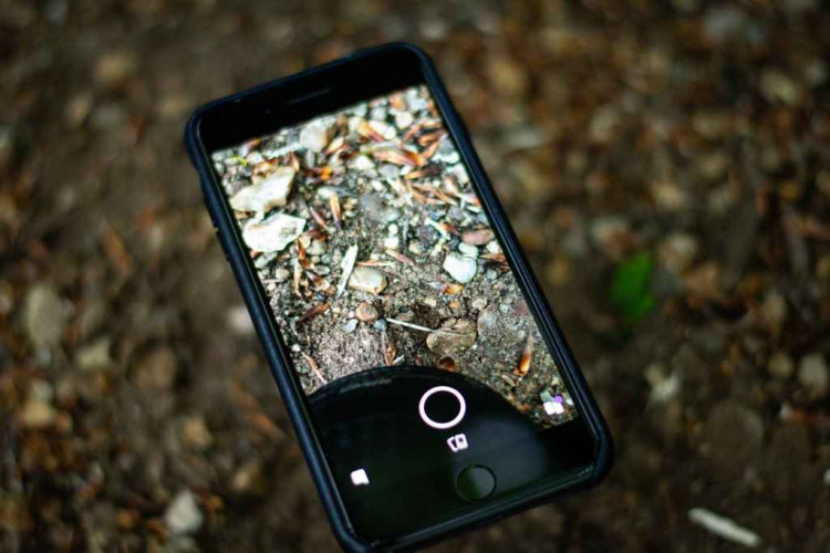 iPhone 6s