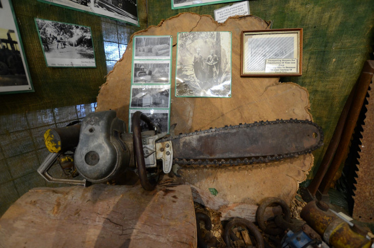 'Chainsaw Man' 