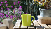 green mug, coffee