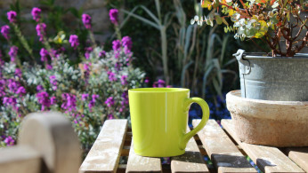 green mug, coffee